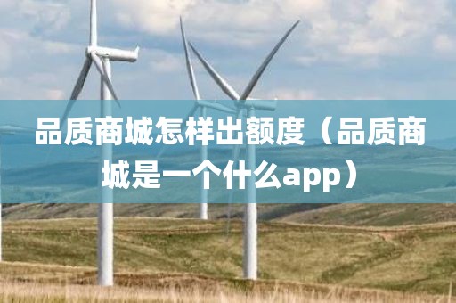 品质商城怎样出额度（品质商城是一个什么app）