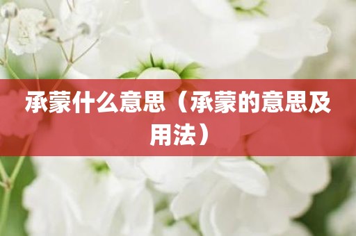 承蒙什么意思（承蒙的意思及用法）
