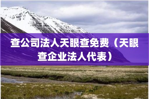 查公司法人天眼查免费（天眼查企业法人代表）
