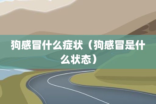 狗感冒什么症状（狗感冒是什么状态）