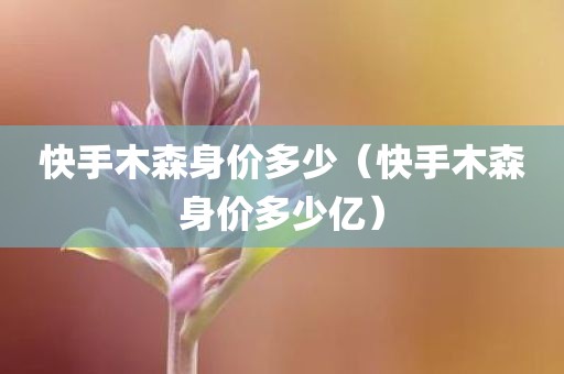 快手木森身价多少（快手木森身价多少亿）