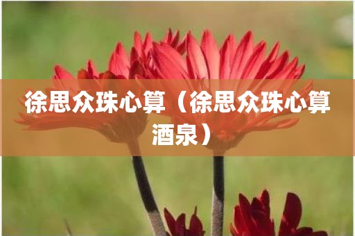 徐思众珠心算(徐思众珠心算 酒泉)