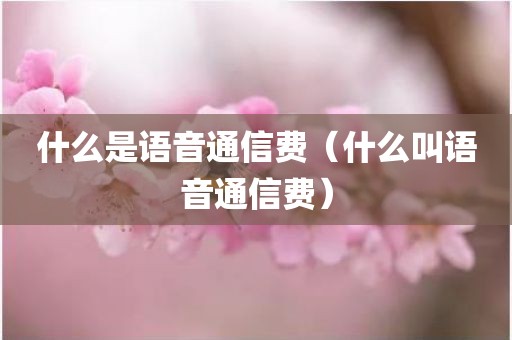 什么是语音通信费（什么叫语音通信费）