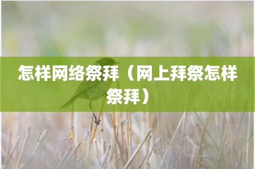怎样网络祭拜（网上拜祭怎样祭拜）