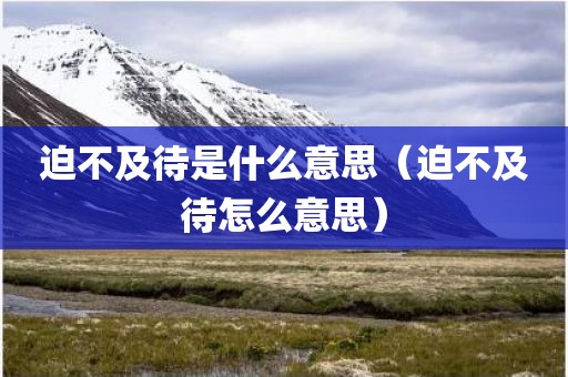迫不及待是什么意思（迫不及待怎么意思）