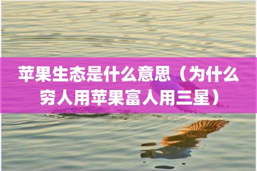 苹果生态是什么意思（为什么穷人用苹果富人用三星）