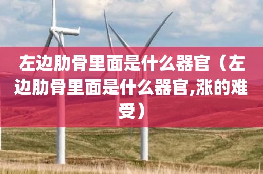 左边肋骨里面是什么器官（左边肋骨里面是什么器官,涨的难受）