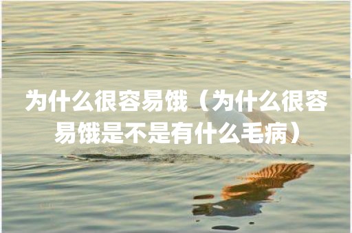 为什么很容易饿（为什么很容易饿是不是有什么毛病）