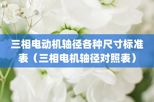 三相电动机轴径各种尺寸标准表（三相电机轴径对照表）