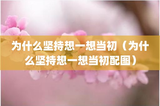 为什么坚持想一想当初（为什么坚持想一想当初配图）