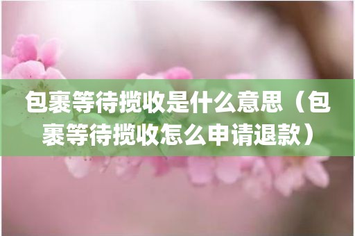 包裹等待揽收是什么意思（包裹等待揽收怎么申请退款）
