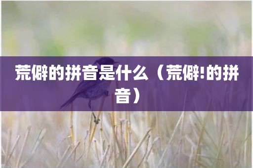 荒僻的拼音是什么（荒僻!的拼音）
