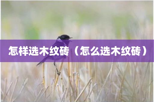 怎样选木纹砖（怎么选木纹砖）