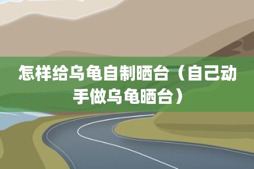怎样给乌龟自制晒台（自己动手做乌龟晒台）