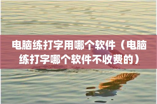 电脑练打字用哪个软件（电脑练打字哪个软件不收费的）