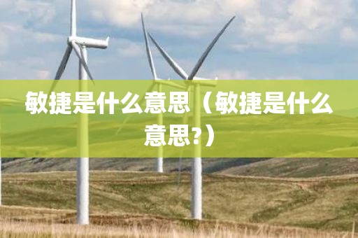 敏捷是什么意思（敏捷是什么意思?）