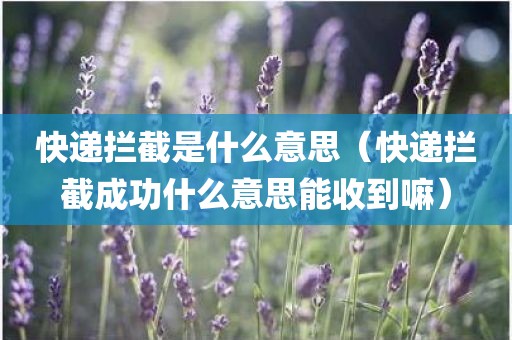 快递拦截是什么意思（快递拦截成功什么意思能收到嘛）