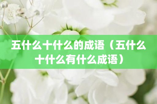 五什么十什么的成语(五什么十什么有什么成语)