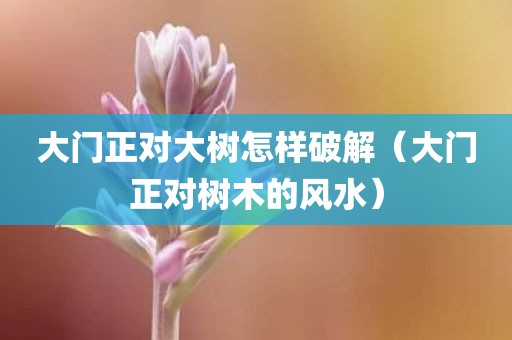 大门正对大树怎样破解（大门正对树木的风水）
