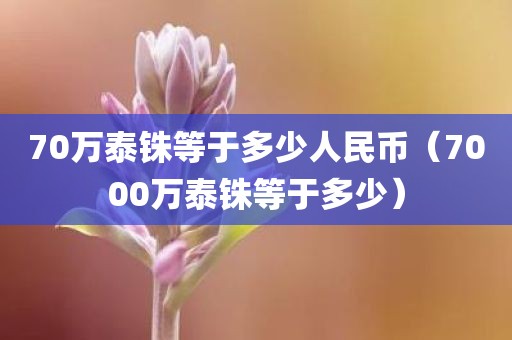 70万泰铢等于多少人民币（7000万泰铢等于多少）