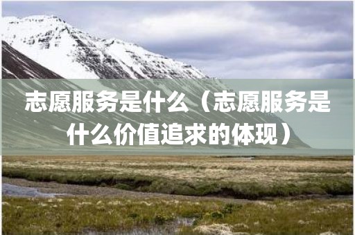 志愿服务是什么（志愿服务是什么价值追求的体现）