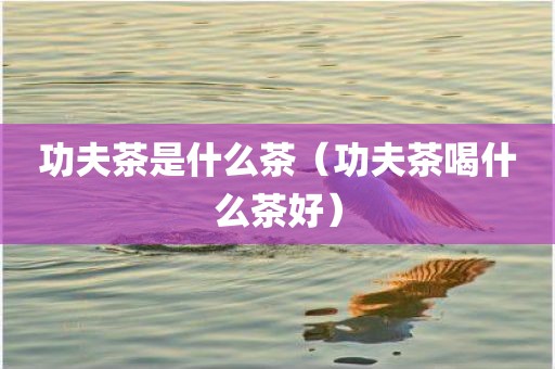 功夫茶是什么茶（功夫茶喝什么茶好）