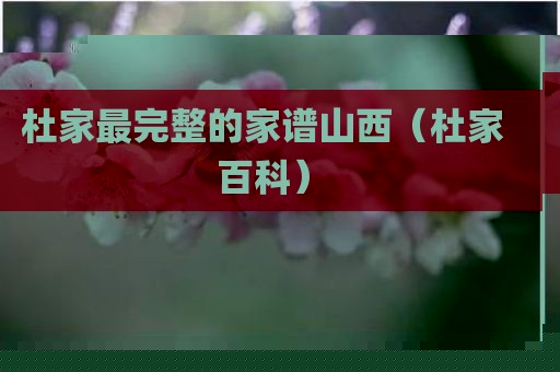 杜家最完整的家谱山西（杜家百科）