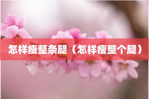 怎样瘦整条腿（怎样瘦整个腿）
