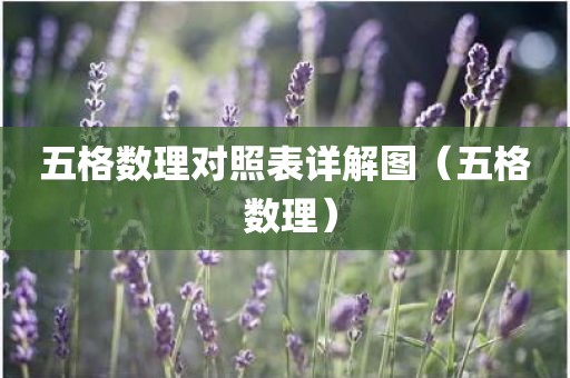 五格数理对照表详解图（五格 数理）