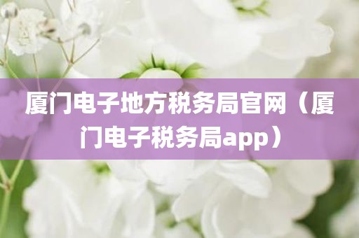 厦门电子地方税务局官网（厦门电子税务局app）