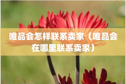 唯品会怎样联系卖家（唯品会在哪里联系卖家）