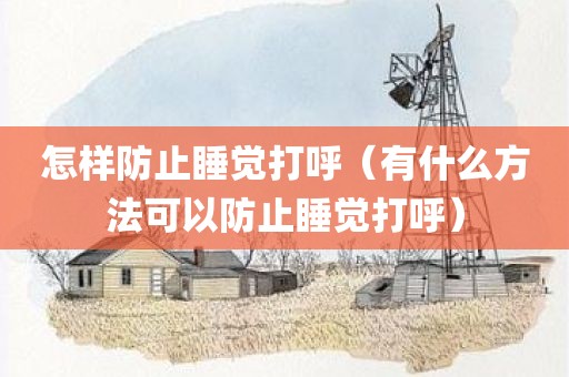 怎样防止睡觉打呼（有什么方法可以防止睡觉打呼）