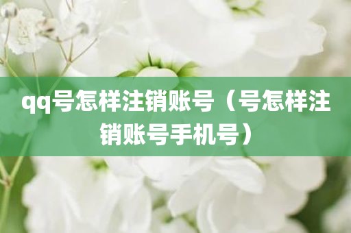 qq号怎样注销账号（号怎样注销账号手机号）