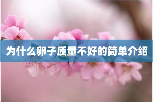 为什么卵子质量不好的简单介绍