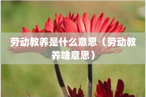 劳动教养是什么意思（劳动教养啥意思）