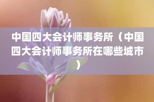 中国四大会计师事务所（中国四大会计师事务所在哪些城市）