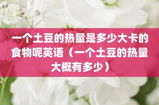 一个土豆的热量是多少大卡的食物呢英语(一个土豆的热量大概有多少)