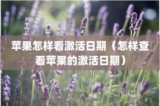 苹果怎样看激活日期（怎样查看苹果的激活日期）