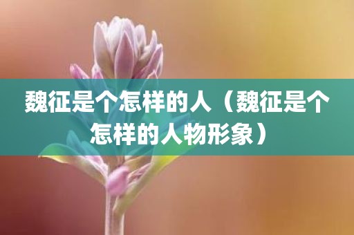 魏征是个怎样的人（魏征是个怎样的人物形象）