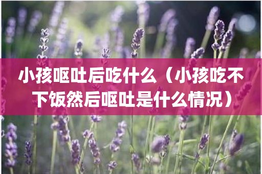 小孩呕吐后吃什么（小孩吃不下饭然后呕吐是什么情况）
