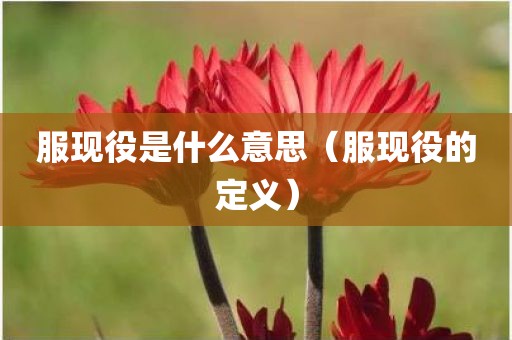 服现役是什么意思（服现役的定义）