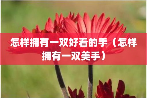 怎样拥有一双好看的手（怎样拥有一双美手）