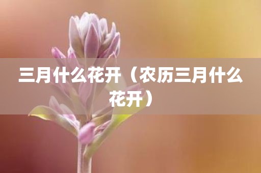 三月什么花开（农历三月什么花开）