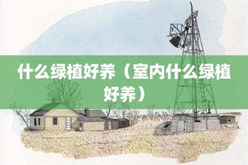 什么绿植好养（室内什么绿植好养）