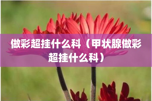 做彩超挂什么科（甲状腺做彩超挂什么科）