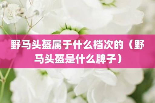 野马头盔属于什么档次的（野马头盔是什么牌子）
