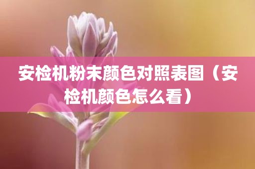 安检机粉末颜色对照表图（安检机颜色怎么看）