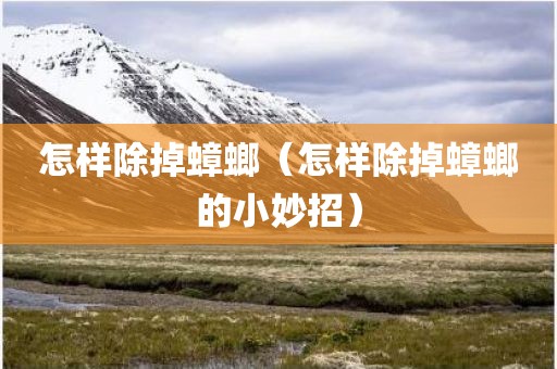 怎样除掉蟑螂（怎样除掉蟑螂的小妙招）