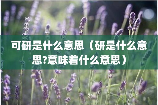 可研是什么意思（研是什么意思?意味着什么意思）