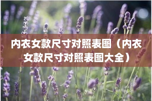 内衣女款尺寸对照表图（内衣女款尺寸对照表图大全）